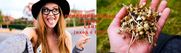 дурь Балабаново