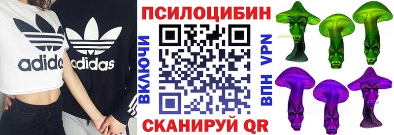KRAKEN рабочий сайт  Кукмор  Галлюциногенные грибы Magic Shrooms 