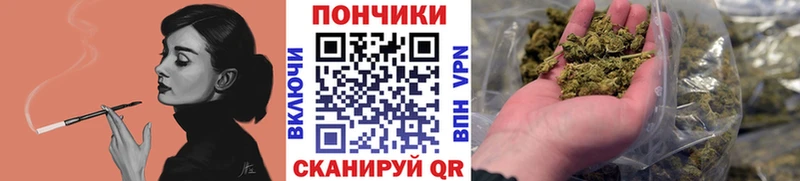 Бошки марихуана гибрид  Кукмор 